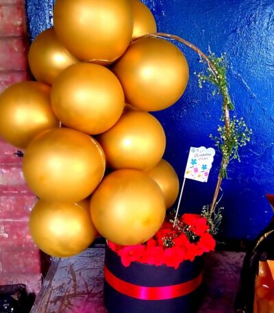 Baloon Box Sarghodha