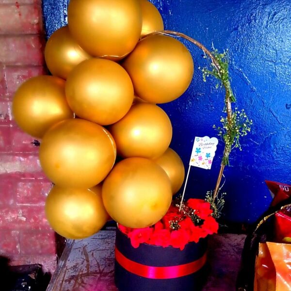 Baloon Box Sarghodha