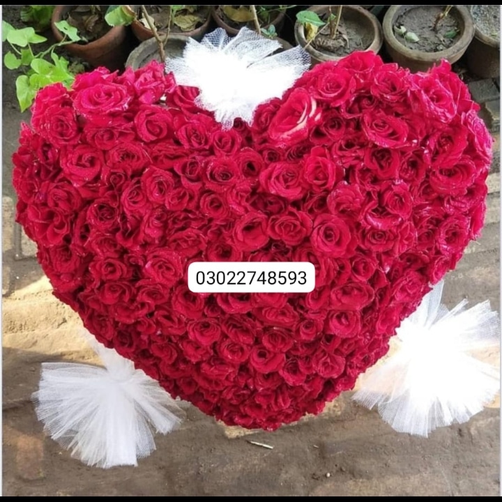 Fresh flowers from best florist in Sargodha