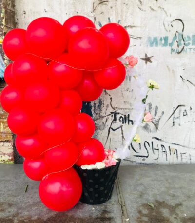 "Anniversary balloon and flower box – Same day delivery in Sargodh
